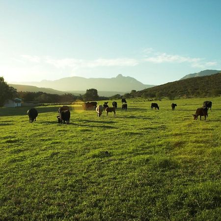 Zeekoegat Historical Homestead Riversdale Eksteriør billede