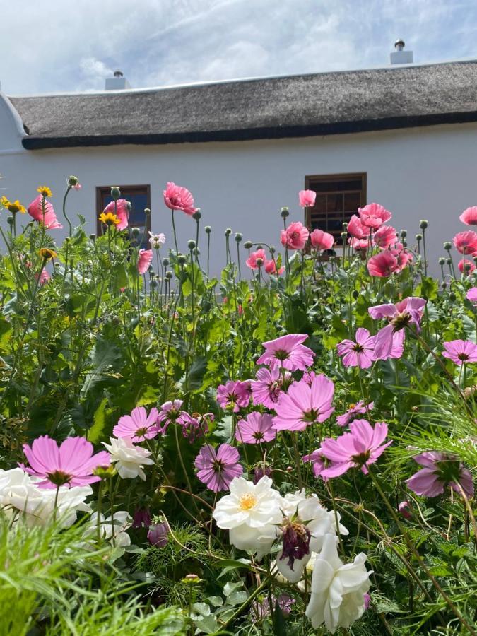 Zeekoegat Historical Homestead Riversdale Eksteriør billede
